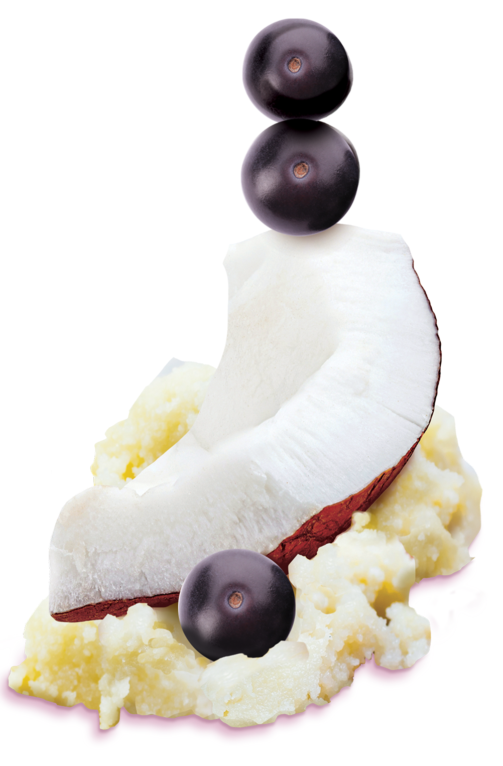 piece of coconut and blueberries